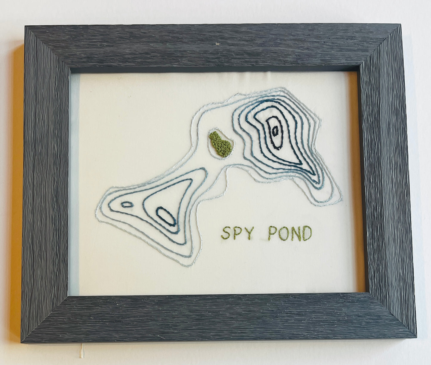 Stitched Depths of Spy Pond