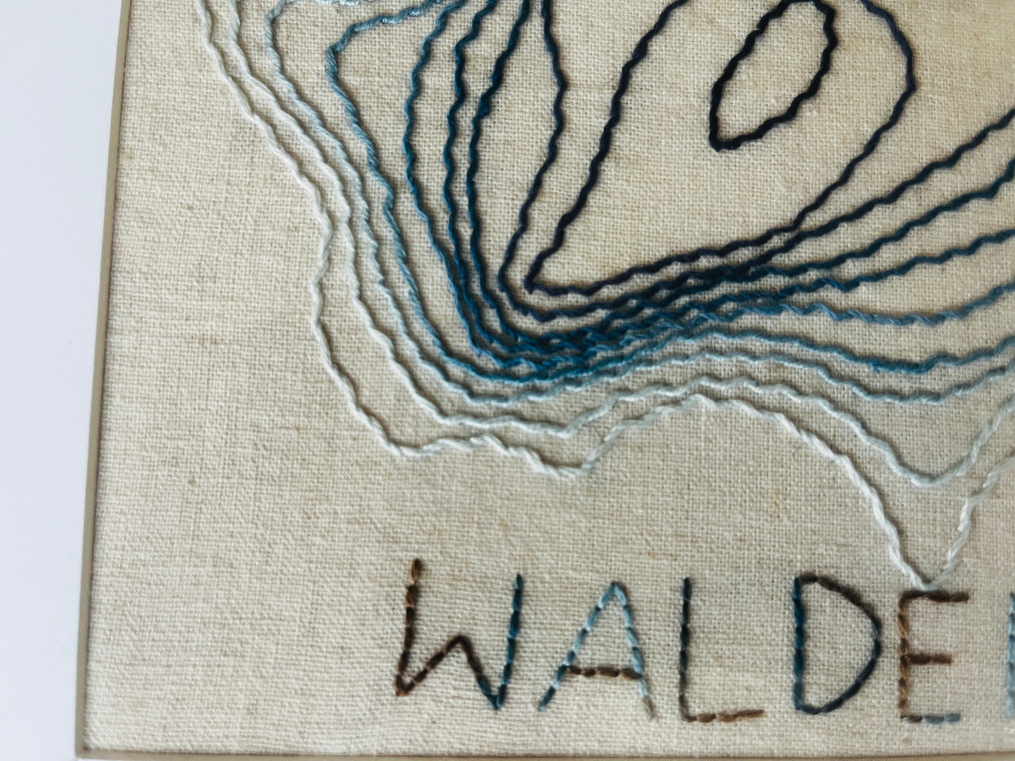 Stitched Depths of Walden (Whipped Back Stitch)