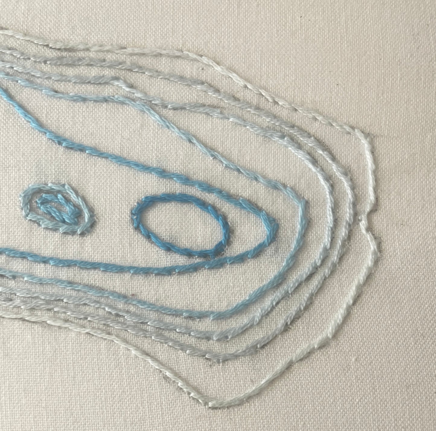 Stitched Depths of Walden (Back Stitch