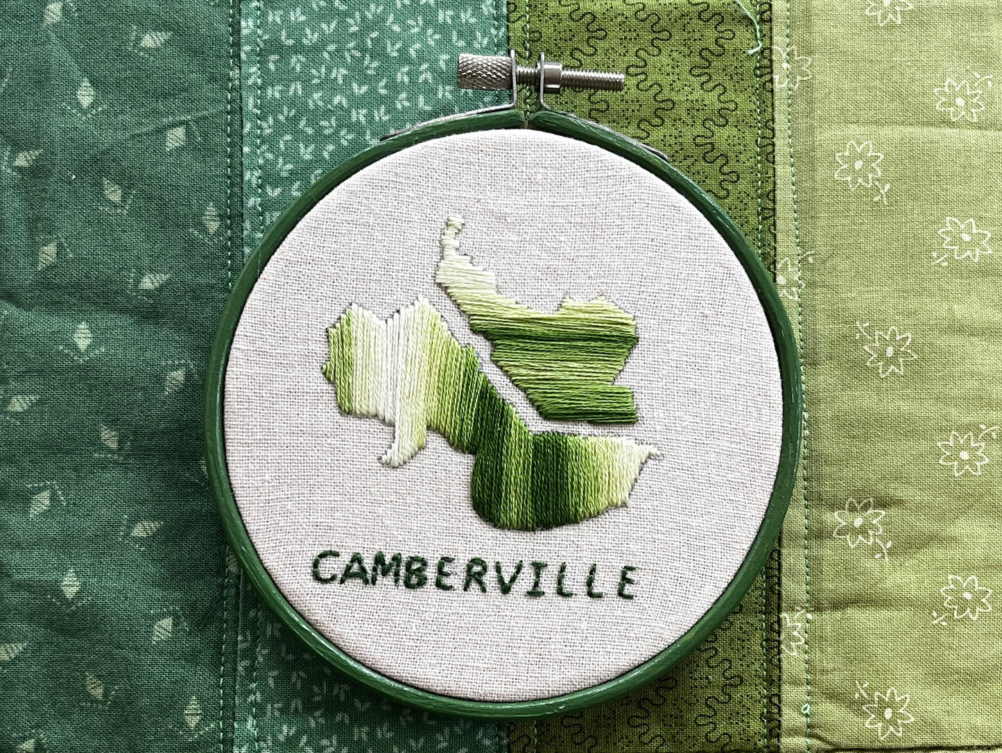 Variegated Camberville - 4 inches