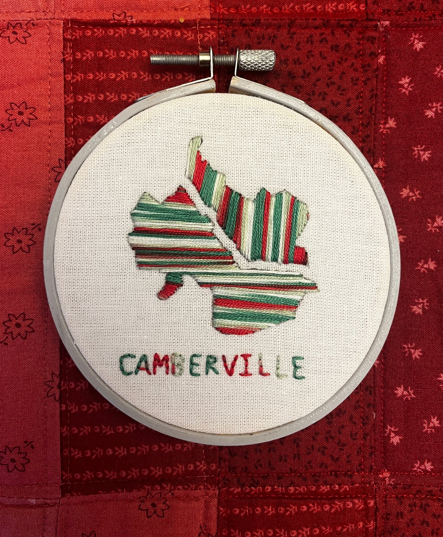 Variegated Camberville - 4 inches