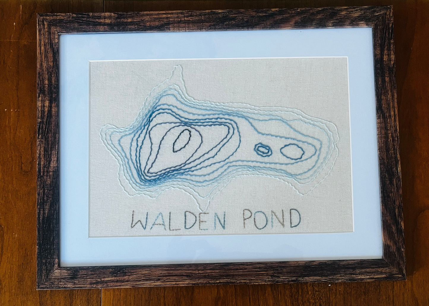 Stitched Depths of Walden (Whipped Back Stitch)