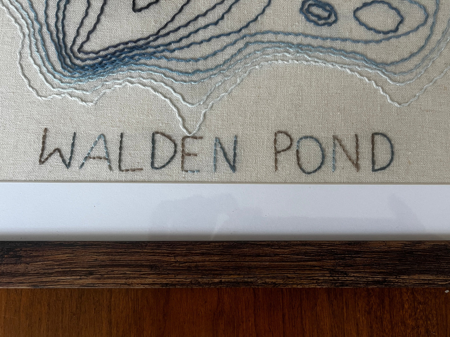 Stitched Depths of Walden (Whipped Back Stitch)